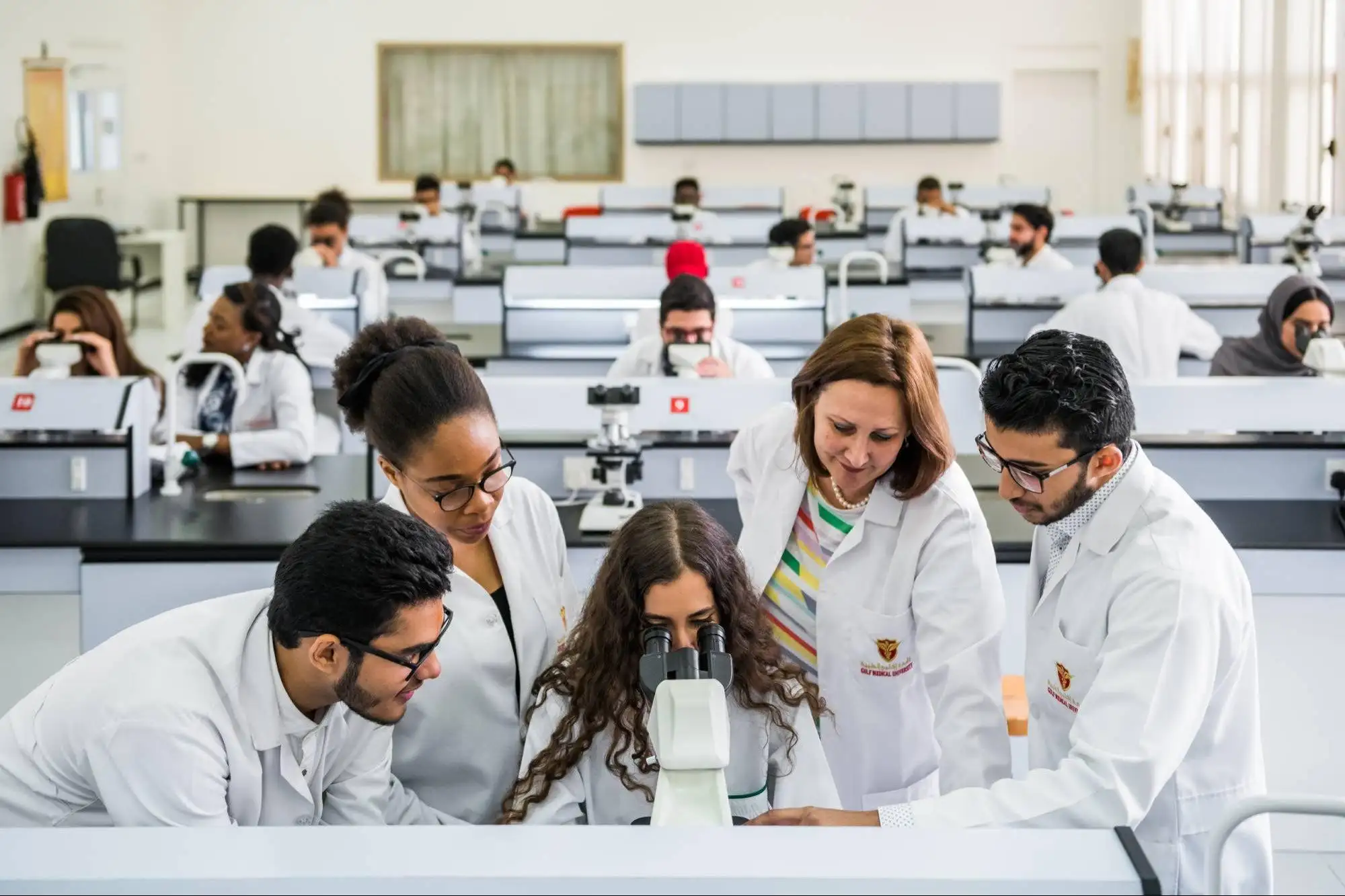 Academic programmes at Raise Institute of Science and Technology